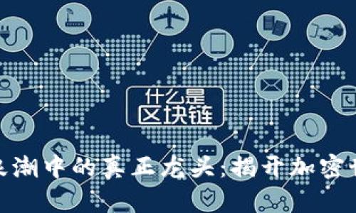 数字货币浪潮中的真正龙头：揭开加密世界的面纱