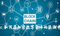 揭秘Matic：如何在加密数字