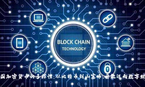 探秘美国加密货币的多样性：从比特币到山寨币，勇敢迈向数字财富之路