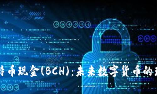 探索比特币现金(BCH)：未来数字货币的璀璨之星
