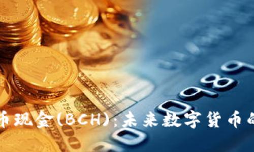 探索比特币现金(BCH)：未来数字货币的璀璨之星