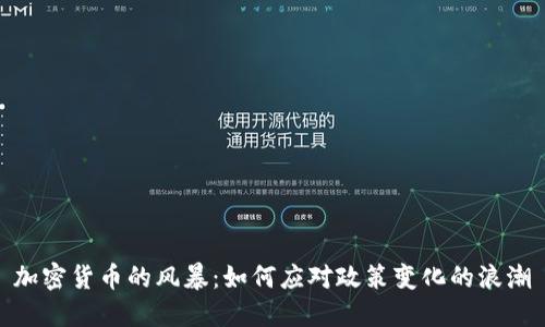 加密货币的风暴：如何应对政策变化的浪潮