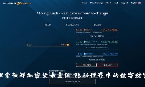 探索朝鲜加密货币系统：隐秘世界中的数字财富