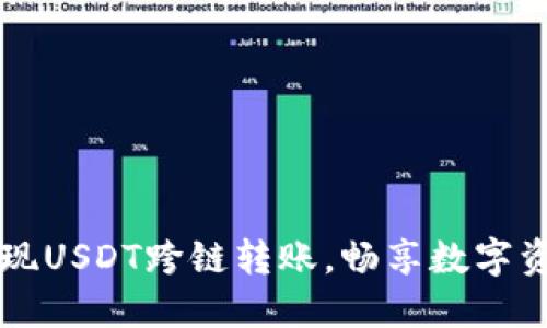 轻松实现USDT跨链转账，畅享数字资产自由