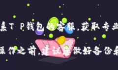 关于“T P钱包没有资产是