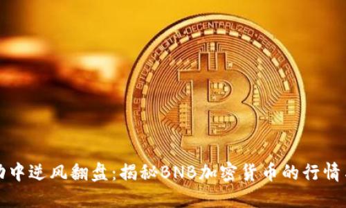 在波动中逆风翻盘：揭秘BNB加密货币的行情与未来