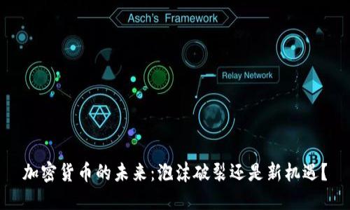 加密货币的未来：泡沫破裂还是新机遇？
