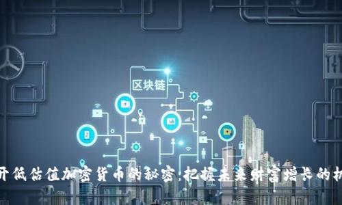 揭开低估值加密货币的秘密：把握未来财富增长的机会