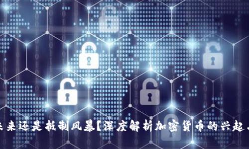 拥抱未来还是抵制风暴？深度解析加密货币的兴起与打击