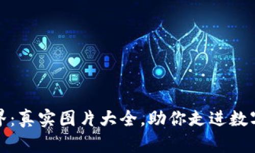 探索加密货币世界：真实图片大全，助你走进数字资产的奇幻旅程