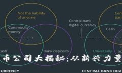 厦门加密货币公司大揭秘
