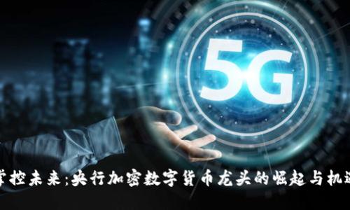 掌控未来：央行加密数字货币龙头的崛起与机遇