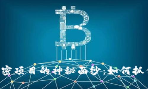 揭开中国货币加密项目的神秘面纱：如何抓住机会，投资未来