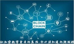 揭秘加密数字货币的真伪