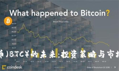 探索比特币（BTC）的未来：投资策略与市场动态分析