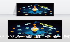 走进加密世界：USV加密货