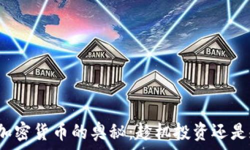   
探索现存加密货币的奥秘：趁机投资还是规避风险？