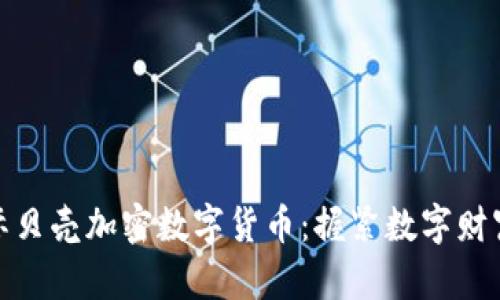 探索国际贝壳加密数字货币：握紧数字财富的舵盘