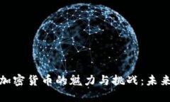 探寻国内虚拟加密货币的