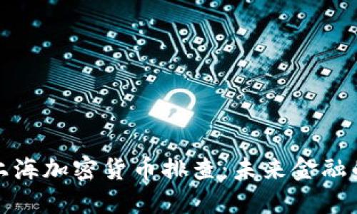 深入了解上海加密货币排查：未来金融的筑梦之路