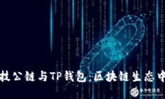 揭秘井通科技公链与TP钱包