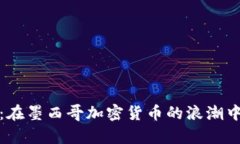 拥抱未来：在墨西哥加密