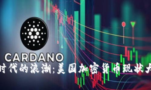 数字时代的浪潮：美国加密货币现状大揭秘