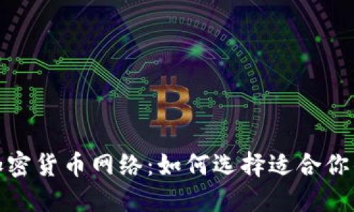 探索各大加密货币网络：如何选择适合你的投资之路