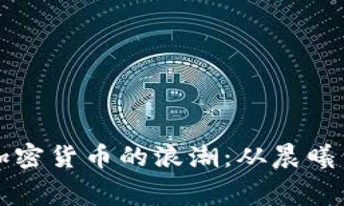 美国人如何拥抱加密货币的浪潮：从晨曦到夜幕的投资之旅