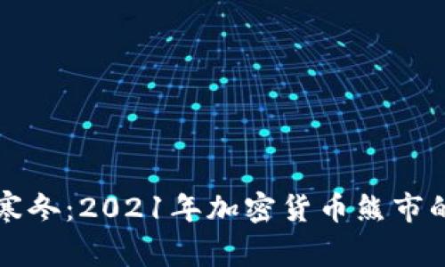 穿越寒冬：2021年加密货币熊市的启示