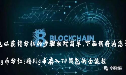 将Pig币放入TP钱包以获得分红的步骤相对简单，下面我将为您详细介绍如何操作。

### 轻松获取Pig币分红：将Pig币存入TP钱包的全流程