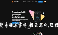 在加密货币的迷雾中：拨