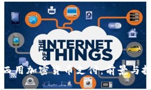 巴西用加密货币支付：前景与挑战