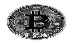 如何查看TP钱包中的资金池