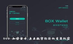 BUD 加密货币：未来数字经