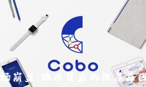   
加密货币市场崩盘：跳水背后的深层原因与未来展望