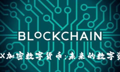 全面解析MDX加密数字货币：未来的数字资产投资选择