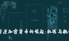 印度加密货币的崛起：机