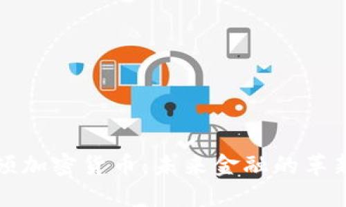 曼哈顿加密货币：未来金融的革新之路