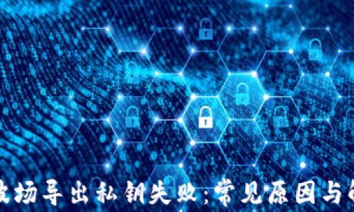 
TP钱包波场导出私钥失败：常见原因与解决方法