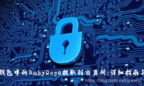 如何将TP钱包中的BabyDoge提取到交易所：详细指南与注意事项