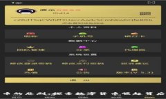 加密货币的悲剧：探索数