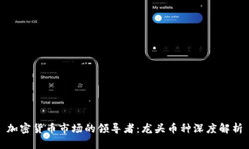 加密货币市场的领导者：龙头币种深度解析