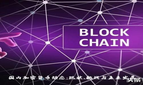 国内加密货币动态：现状、挑战与未来发展