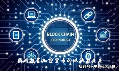 国内投资加密货币的现状与未来