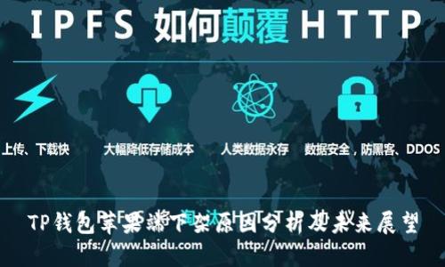 TP钱包苹果端下架原因分析及未来展望