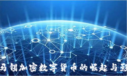   
淡马锡加密数字货币的崛起与影响