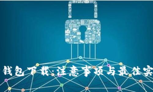 TP钱包下载：注意事项与最佳实践