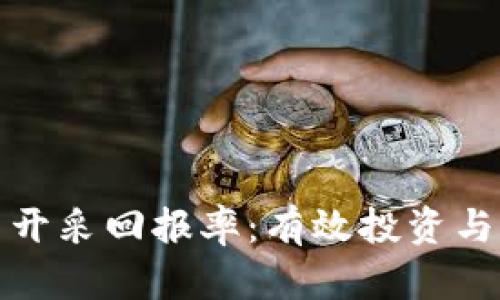 加密货币开采回报率：有效投资与风险解析
