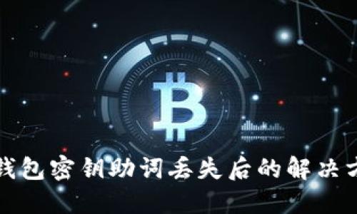 TP钱包密钥助词丢失后的解决方案